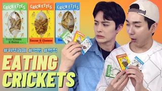 QUIZ CHALLENGE ⏰ LOSER EATS FLAVORED CRICKETS😱😱😱  | 퀴즈 챌린지⏰ 지면 귀뚜라미 먹기!! 🙀🙀🙀