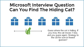 How To Solve The Hiding Cat Puzzle - Microsoft Interview Riddle