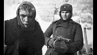«Человеческий кал по пояс»: интервью с русскими солдатами пролили свет на ужасы Сталинграда (Daily M