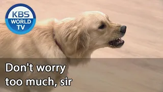 Don't worry too much, sir (Dogs are incredible) | KBS WORLD TV 201202