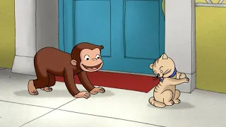 Georges le Petit Singe 🐵 George le Petit Curieux apprend à connaître les autres animaux! 🐵