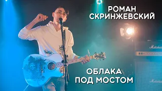 Роман Скринжевский - Облака под мостом (live)