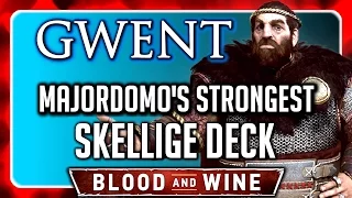 Witcher 3 🌟 BLOOD AND WINE GWENT ► Beat the Strongest Skellige Deck (Majordomo)