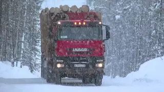 Лесовозы Iveco.  Timber transporters Iveco Trakker drive a forest