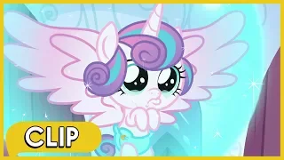 Flurry Heart rompe el Corazón de Cristal - MLP: FiM [Español Latino]