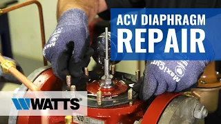 ACV Diaphragm Repair