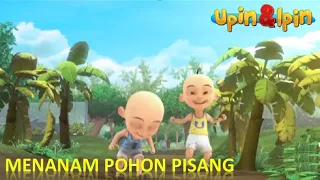 Full Movie Upin & Ipin Musim 15  - Menanam Pohon Pisang  -  Upin Ipin Terbaru 2022