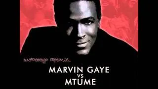 Marvin Gaye vs Mtume - Sexual Fruit (AudioSavage Mashup)