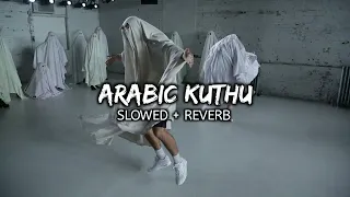 Arabic Kuthu (Slowed + Reverb) | Vijay Thalapathy | Pooja Hegde | Beast | Mahesh Lofi