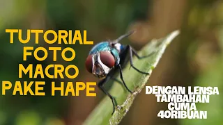 TUTORIAL FOTO MACRO/ BENDA DAN BINATANG KECIL PAKE HAPE