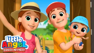 Berpetualang dengan Keluarga | Little Angel Bahasa Indonesia | Kartun Anak Terbaru 2023