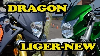 DRAGON и LIGER-200-NEW - ФАРЫ МОТОЦИКЛОВ QINGQI