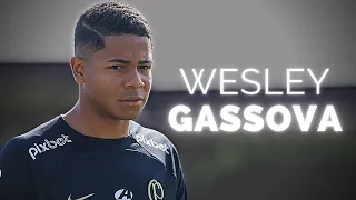 Wesley Gassova - Brazilian Baller | 2023