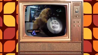 Siskel & Ebert: Dogs Of 1981 - Buddy Buddy, Cannonball Run, Chu Chu and the Philly Flash, The Fan