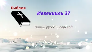 Иезекииль 37 (Новый русский перевод) - Долина сухих костей - Один народ и один царь -