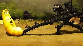 LARVA - ANT ATTACK | Cartoon Movie | Cartoons | Comics | Larva Cartoon | LARVA Official