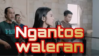 NGANTOS WALERAN - FANNYSABILA ( OFFICIAL LIVE MUSIC & VIDEO ) | UJANG CHOPLOX