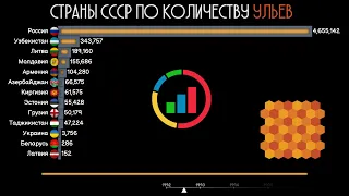 Страны бывшего СССР по количеству УЛЬЕВ.Сравнение стран.Рейтинг стран СНГ.Инфографика.Статистика