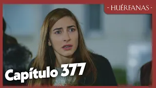 Huérfanas - Capítulo 377