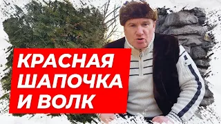 ⚡Анекдот про красную шапочку и волка!⚡