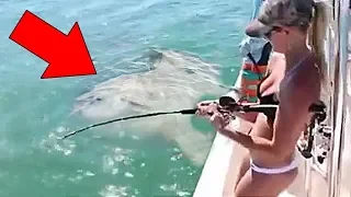 5 You Wouldn’t Believe if They Weren't Recorded On Camera! (Caught On Video)