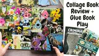 Cut & Collage Book Review • Birds & Blooms Glue Book Play✂️📓#gluebook