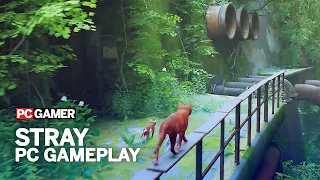 Stray Gameplay [4K 60FPS PC] - The First 8 Minutes