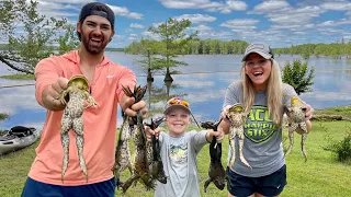 Fishing for HUGE Bullfrogs! Catch, Clean, and Cook Fried Frog Legs!