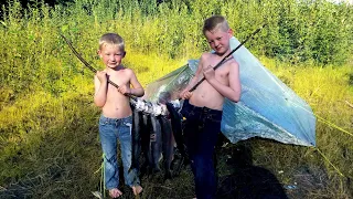Camping & Fishing an Alaskan Salmon River - Camp Catch & Cook