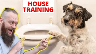 Beginners Guide To House Training A Puppy