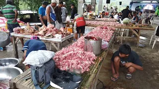 10 baboy 1 baka | traditional wedding in the Philippines Countryside | Lobo Batangas