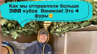 Бизнес на заготовке Веников| сколько отправил Веников за сезон| больше 300 кубов Веников