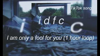 I'm Only A Fool For You (1 hour loop) Tiktok song - idfc Blackbear