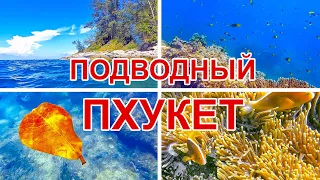 Подводное видео Пхукета. Пляж Ао Сан. Кораллы и рыбы Андаманского моря в 4K (Ноябрь 2021)