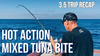 Yellowfin and Bluefin Tuna Action out of out of San Diego