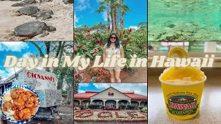 Hawaii Vlog | Exploring Dole Plantation & North Shore 🍍🌊