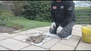 paving slabs Patio flags jointing and Pointing for Beginners - Part 1