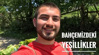 BAHÇEMİZDEN SEBZE TOPLADIK - KÖY VLOG #6