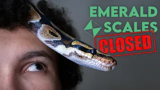 My Reptile Business Shut Down: Why Emerald Scales Failed