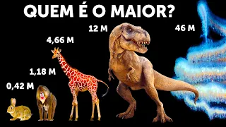 Comparando o Tamanho dos Animais (As Baleias Não São as Maiores!)