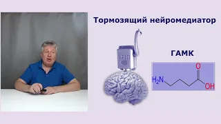 Как "улучшить" свой мозг с помощью ГАМК (GABA)?