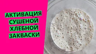 Активация сушеной пшеничной закваски| Как быстро вернуть ее к жизни?