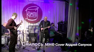 Снилось мне (cover Андрей Сапунов)