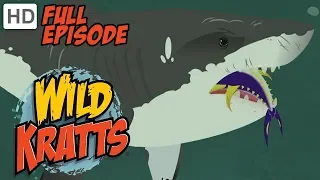 Wild Kratts - Stuck on Sharks 🦈 (HD - Full Episode)