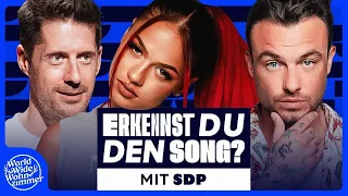 Erkennst DU den Song? (mit SDP) - TAG TEAM EDITION!