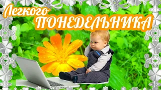 Доброе Утро ПОНЕДЕЛЬНИКА! УДАЧНОЙ НЕДЕЛИ! Красивое Музыкальное Пожелание ДОБРОГО УТРА!