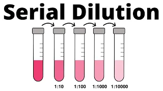 How to prepare a Serial Dilution