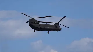 Chinook 2018