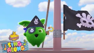 CAPTAIN HOPPER PIRATE SONG | SUNNY BUNNIES SING ALONG COMPILATION | Kids Cartoons | Nursery Rhymes