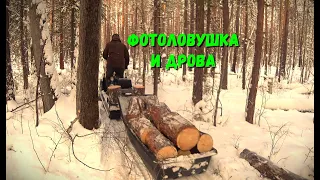 ФОТОЛОВУШКА НА ХИТРОГО СОБОЛЯ!!! ДРОВА НА ЗИМОВЬЕ.